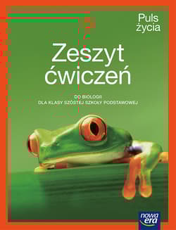 Biologia Puls życia zeszyt ćwiczeń dla klasy 6 szkoły podstawowej EDYCJA 2025-2027 - Fiałkowska-Kołek Magdalena, Gębica Sławomir, Siwik Agnieszka