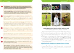 Galeria - zdjęcie nr. 2 - Biologia. Repetytorium liceum/technikum