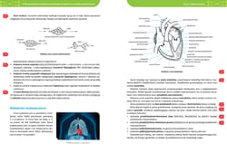 Galeria - zdjęcie nr. 5 - Biologia. Repetytorium liceum/technikum
