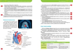 Galeria - zdjęcie nr. 5 - Biologia. Repetytorium. Liceum/technikum wyd. 2026