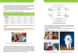 Galeria - zdjęcie nr. 3 - Biologia. Repetytorium. Liceum/technikum wyd. 2026