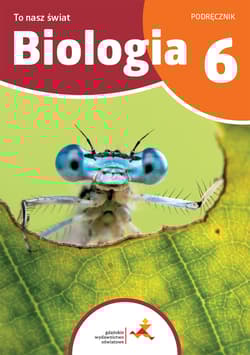 Biologia To nasz świat Podręcznik dla klasy 6 szkoły podstawowej - Sągin Beata, Kamila Skalska, Adam  Zbyryt