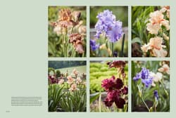 Galeria - zdjęcie nr. 2 - Bird Haven Farm