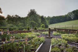 Galeria - zdjęcie nr. 5 - Bird Haven Farm