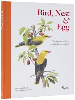 Bird, Nest & Egg - Walter De Raedt