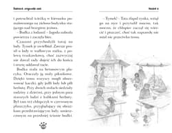 Galeria - zdjęcie nr. 2 - Biszkopcik, przyjacielski psiak. Zaopiekuj się mną