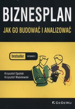 Biznesplan jak go budować i analizować - Opolski Krzysztof, Krzysztof Waśniewski