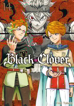 Black Clover. Tom 14 - Yuuki Tabata