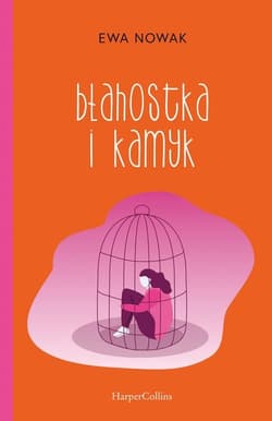 Błahostka i kamyk - Ewa Nowak