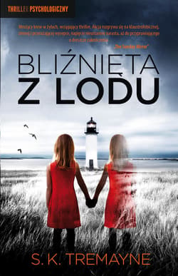 Bliźnięta z lodu - ebook - S. K. Tremayne