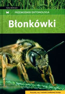 Błonkówki przewodnik entomologa