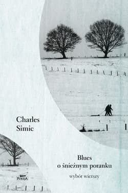 Blues o śnieżnym poranku - Charles  Simic