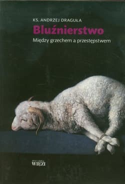 Bluźnierstwo Między grzechem a przestępstwem - Andrzej Draguła