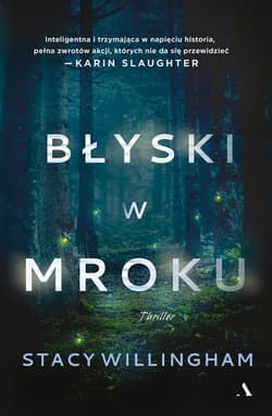 Błyski w mroku - Stacy Willingham