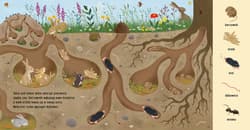 Galeria - zdjęcie nr. 2 - Boćki i zające. Zwierzęta na łące. Polne przygody. Poznaję Przyrodę