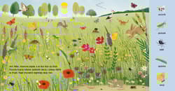 Galeria - zdjęcie nr. 3 - Boćki i zające. Zwierzęta na łące. Polne przygody. Poznaję Przyrodę