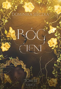Bóg Cieni. Bogini. Tom 3. Część 1 - Dominika Sieczka
