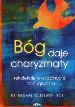 Bóg daje charyzmaty rekolekcje o wspólnocie i posługiwaniu - Michał Olszewski