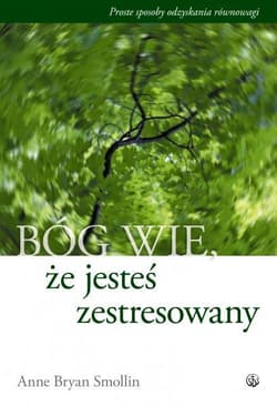 Bóg wie że jesteś zestresowany Proste sposoby na odzyskanie równowagi - Bryan Smollin Anne