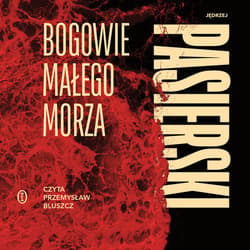 Bogowie małego morza - audiobook - Jędrzej Pasierski