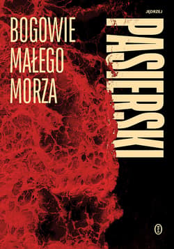 Bogowie małego morza - ebook - Jędrzej Pasierski