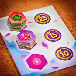 Galeria - zdjęcie nr. 2 - Bonsai Bujny wzrost i Eksperci