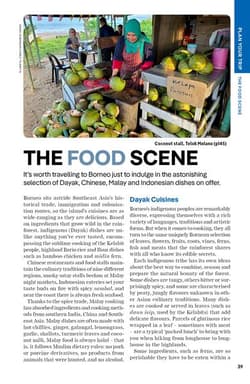 Galeria - zdjęcie nr. 4 - Borneo. Lonely planet