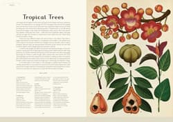 Galeria - zdjęcie nr. 2 - Botanicum