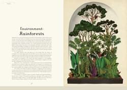 Galeria - zdjęcie nr. 3 - Botanicum