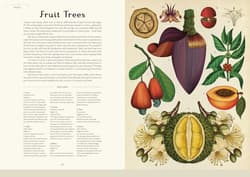 Galeria - zdjęcie nr. 4 - Botanicum