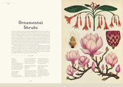 Galeria - zdjęcie nr. 5 - Botanicum