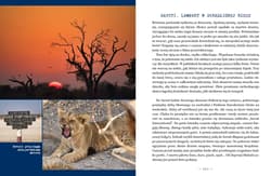 Galeria - zdjęcie nr. 5 - Botswana. Przez deltę Okawango i piaski Kalahari