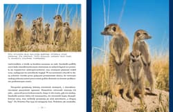 Galeria - zdjęcie nr. 4 - Botswana. Przez deltę Okawango i piaski Kalahari
