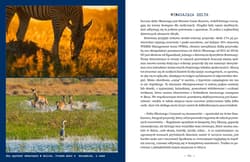 Galeria - zdjęcie nr. 3 - Botswana. Przez deltę Okawango i piaski Kalahari