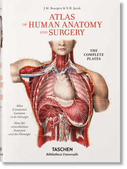Bourgery. Atlas of Human Anatomy and Surgery wer. angielska