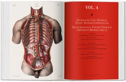 Galeria - zdjęcie nr. 3 - Bourgery. Atlas of Human Anatomy and Surgery wer. angielska