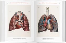 Galeria - zdjęcie nr. 4 - Bourgery. Atlas of Human Anatomy and Surgery wer. angielska