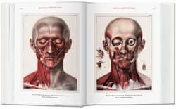 Galeria - zdjęcie nr. 5 - Bourgery. Atlas of Human Anatomy and Surgery wer. angielska