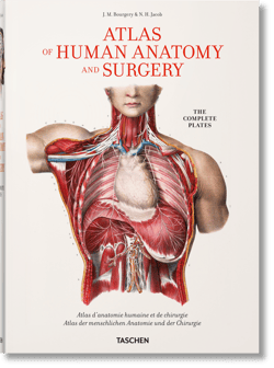 Bourgery. Atlas of Human Anatomy and Surgery wer. angielska - Henri Sick, Jean-Marie Le Minor