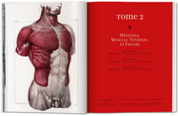 Galeria - zdjęcie nr. 5 - Bourgery. Atlas of Human Anatomy and Surgery wer. angielska