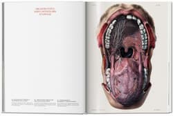 Galeria - zdjęcie nr. 4 - Bourgery. Atlas of Human Anatomy and Surgery wer. angielska
