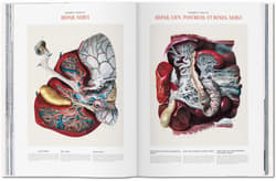 Galeria - zdjęcie nr. 3 - Bourgery. Atlas of Human Anatomy and Surgery wer. angielska