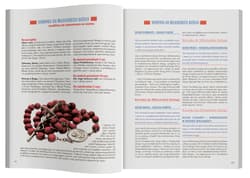 Galeria - zdjęcie nr. 3 - Boże Miłosierdzie wyd. 2