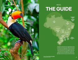 Galeria - zdjęcie nr. 4 - Brazil. Lonely planet
