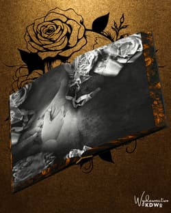 Galeria - zdjęcie nr. 2 - Broken Whispers (ilustrowane brzegi)