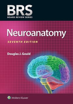 BRS Neuroanatomy - Gould Douglas J.