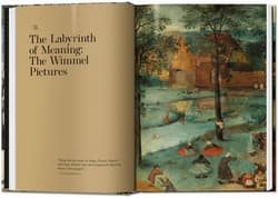 Galeria - zdjęcie nr. 2 - Bruegel. The Complete Paintings. 40th Ed. wer. angielska