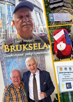 Bruksela. Dziękczynne pielgrzymowanie - Emil Wąsacz