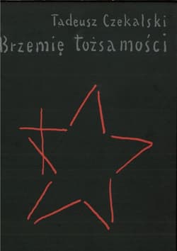 Brzemię tożsamości. Kościoły prawosławne na... - Tadeusz Czekalski