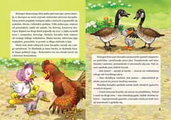 Galeria - zdjęcie nr. 2 - Brzydkie kaczątko